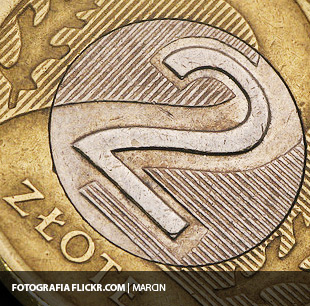 złoty